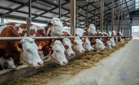 Agriculture & Farming